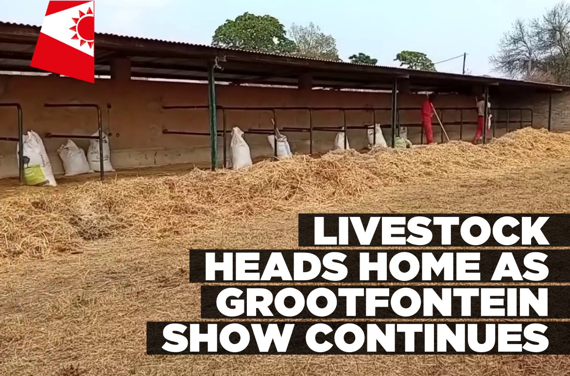 Grootfontein Show continues as livestock returns to farms