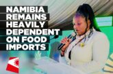 Agriculture ministry raises concern over Namibia’s food import dependence