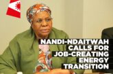 NNN at the UN: calls for a just energy transition that creates jobs