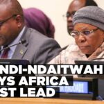 Africa takes ownership of Pact for the Future – Nandi-Ndaitwah