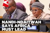 Africa takes ownership of Pact for the Future – Nandi-Ndaitwah