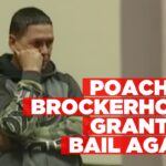 Serial poacher Brockerhoff out on bail