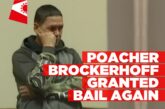 Serial poacher Brockerhoff out on bail