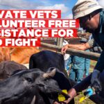 Nine measures proposed by private vets to boost FMD surveillance