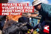 Nine measures proposed by private vets to boost FMD surveillance