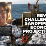 Sandpiper economic case remains incomplete, review finds