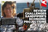 Sandpiper economic case remains incomplete, review finds