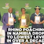 Namibia records notable decline in rhino poaching