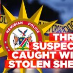 Three arrested for alleged stock theft in Aranos