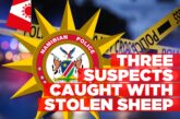 Three arrested for alleged stock theft in Aranos