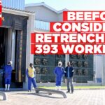 FMD fallout puts Beefcor jobs at risk