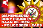Dismembered body of woman discovered in Daan Viljoen