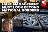 Two hake species, one shared stock - are we managing the right fish?