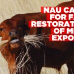 Namibia Agricultural Union urges swift action to restore meat export markets