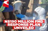 Namibia needs N$190 million to contain FMD outbreak in //Kharas