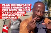 PLAN combatant Nangolo sues Shaningwa over alleged defamatory remarks