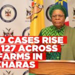 FMD cases rise to 127
